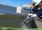 Belawan New Container Terminal Bersama Surveyor  Indonesia Lakukan Pengujian Air Laut Guna Pastikan Ramah Lingkungan