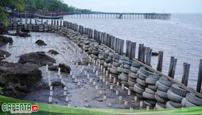 Kilang Pertamina Dumai Tambah 200 meter APO di Kelurahan Mundam, Komitmen Wujudkan Ketahanan Pesisir Dumai