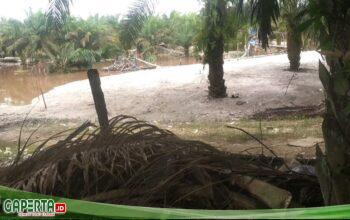 Tindak Tegas, Puluhan Aktivitas PETI Diduga Merajalela, Lahan Hancur Siapa Aktor Utamanya?