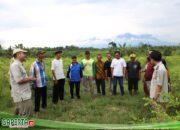 Jalan Kolaborasi Lintas Instansi Terbuka dari Reforma Agraria, Jadi Jawaban Penyelesaian Konflik di Desa Soso