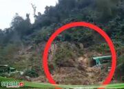 PETI di Bukit Moran Sintang Rusak Lingkungan, Negara Terancam Rugi Besar