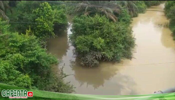 PT MMS Diduga Tak Penuhi Standar Pabrik Sawit, Limbah Dibuang ke Sungai Pilau Mencuat Sejak 2019
