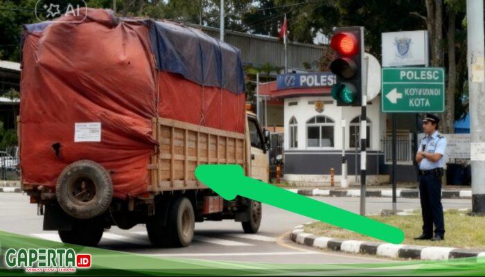 Maraknya Illegal Logging di Jambi, Mafia Kayu Seolah “Kebal Hukum”