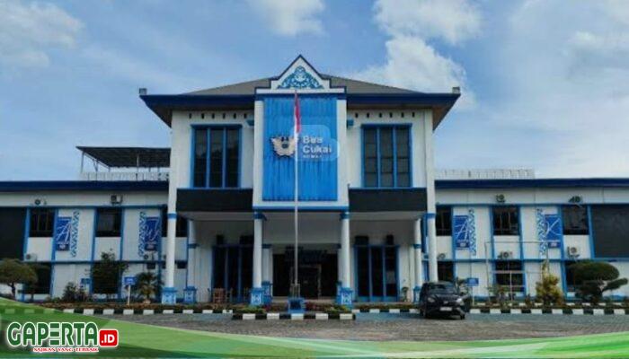 Skandal Ekspor CPO Diduga Disamarkan Jadi Limbah, Bea Cukai Dumai: “Kami Hanya Jalankan Aturan”