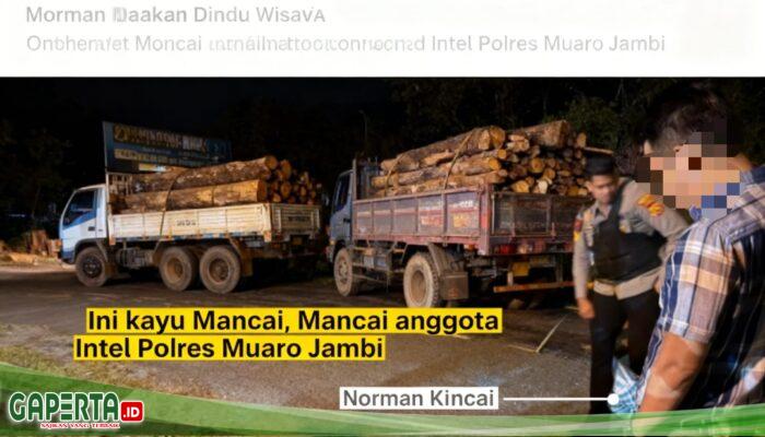 “Ulah Oknum Intel ‘NK’ di Muaro Jambi: Diduga Lindungi Kayu Ilegal dan Alergi Kritik Wartawan.”