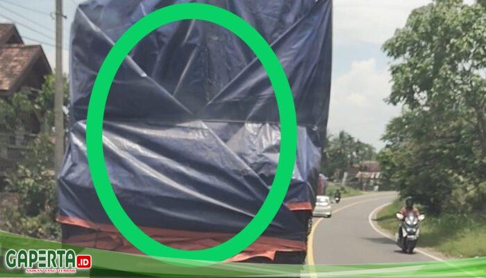 “Perisai Besi” di Balik Bisnis Kayu Ilegal Jambi – Menelusuri Jejak Oknum “H”