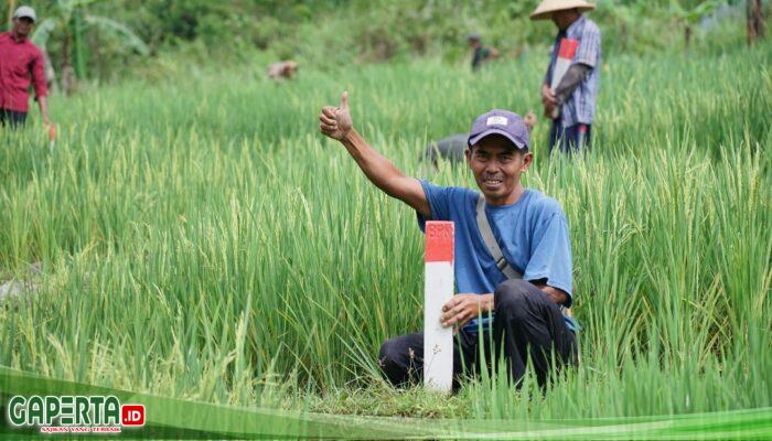Mudik ke Kampung Halaman? Jaga Batas Tanah sebagai Langkah Awal Cegah Konflik Antartetangga