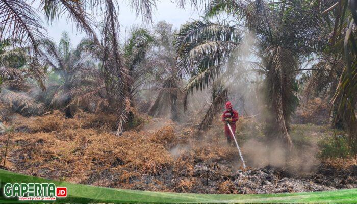 Tetap Siaga di Hari Raya, Tim Fire Brigade Pertamina RU II Dumai Berjibaku Padamkan Karhutla