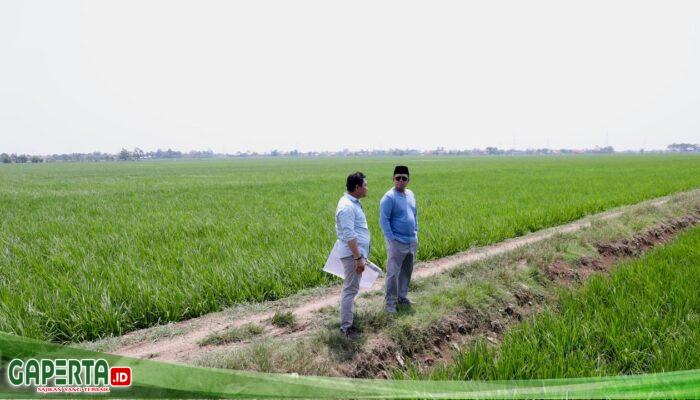Tinjau Kawasan Industri di Indramayu, Menteri Nusron Pastikan Lahan Tidak Masuk ke LSD