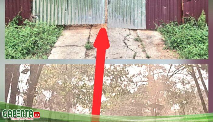 Diduga Gudang Oli Oplosan Ilegal di Pontianak Utara: Beroperasi Terang-terangan, Aparat Kemana?