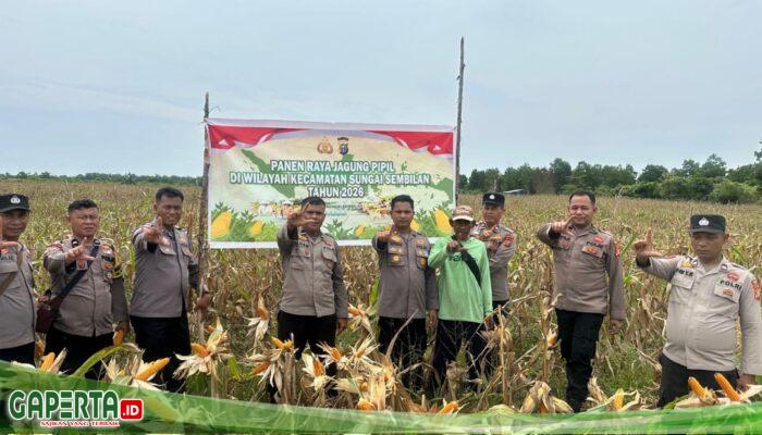 Dukung Program Nasional Ketahanan Pangan Kuartal II Tahun 2026, Polsek Sungai Sembilan Panen Jagung