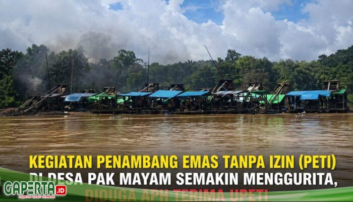 Darurat PETI di Sungai Landak, Warga Pak Mayam Soroti Dugaan Pembiaran
