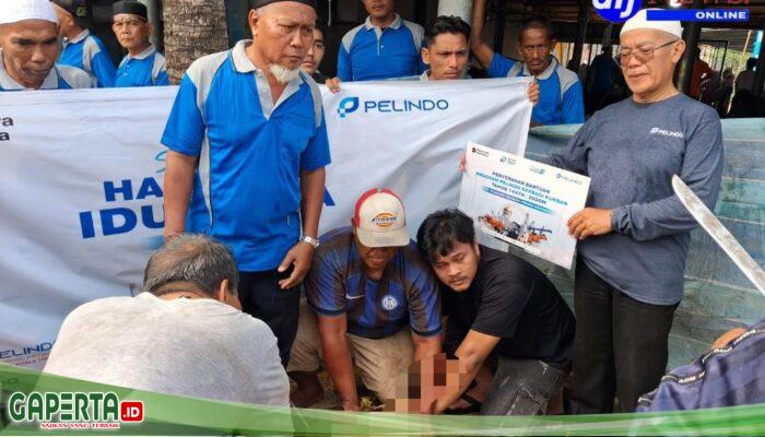 Hari Raya Idul Adha  1447 H Pelindo Regional I Sembelih 5 Ekor Sapi Yang Akan Dibagikan Ke Masyarakat Belawan