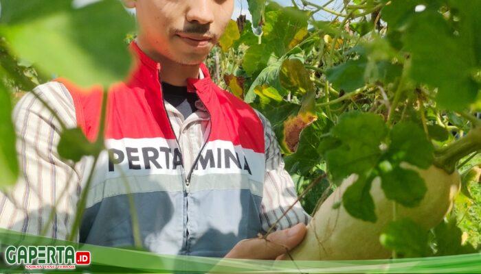Membingkai Ketahanan Energi Lewat Lensa di Workshop Fotografi PHR