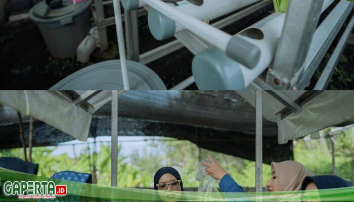 Pertamina Patra Niaga Refinery Unit Dumai Perkuat Upaya Pencegahan Stunting di Kawasan Pesisir Lewat PLTS untuk Kelompok Wanita Mundam Berseri