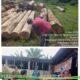 Apresiasi Luar Biasa ! Keberanian Gakkum Sumatera Sikat Mafia Ilegal Logging Labura dari Hulu hingga Hilir Tuai Pujian Masyarakat.