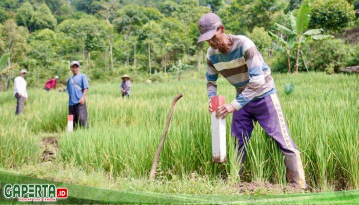 Pasang Patok, Cara Sederhana Cegah Sengketa Tanah dengan Tetangga