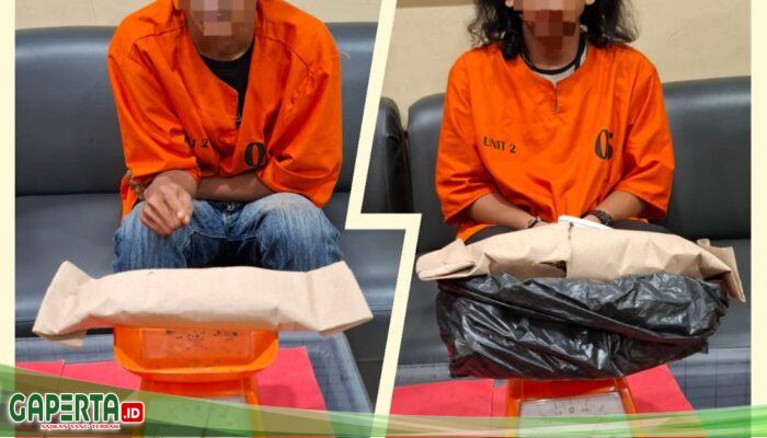 Tim Raga Polres Dumai Gagalkan Peredaran Ganja di Jalan Bahtera, Dua Tersangka Diciduk