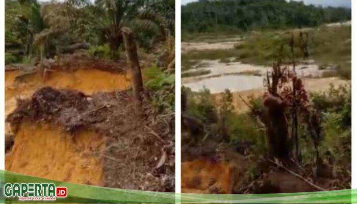 Mediasi Sengketa Lahan Tambang Emas Diduga Ilegal di Area Plasma 2 Sejiram Belum Temukan Titik Terang, Warga Desak Penegakan Hukum Tanpa Tebang Pilih