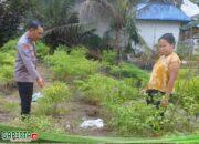 Giat Bhabinkamtibmas bersama Petani Cek Pekarangan Pangan Bergizi Dukung Ketahanan Pangan Nasional
