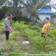 Giat Bhabinkamtibmas bersama Petani Cek Pekarangan Pangan Bergizi Dukung Ketahanan Pangan Nasional