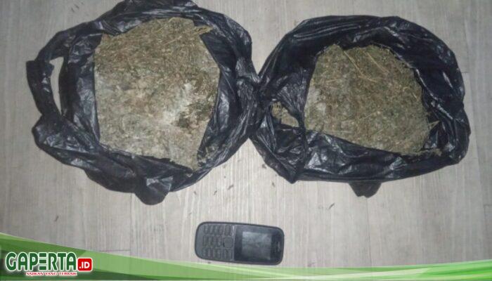 Sat Narkoba Polres Pelabuhan Belawan Tangkap Pengedar Ganja Asal Aceh, Sita 840 Gram Ganja Kering