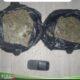 Sat Narkoba Polres Pelabuhan Belawan Tangkap Pengedar Ganja Asal Aceh, Sita 840 Gram Ganja Kering