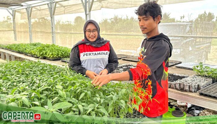 Harapan yang Disemai dari Pohon Cabai: Kisah Abdul Rozzaq, Kepala Keluarga Penyintas Banjir Sumatera