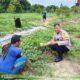 Polres Dumai Dukung Ketahanan Pangan Nasional, Bhabinkamtibmas Bukit Timah Tinjau Kebun Semangka