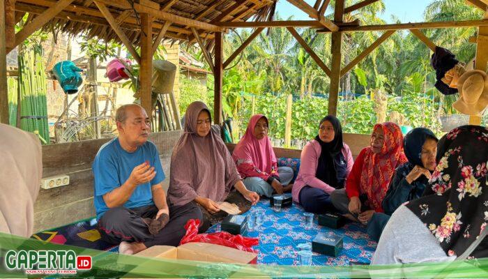Kisah Chaidir Saleh, Beri “Sentuhan” Manisnya Melon Premium untuk Petani Milenial