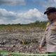 Kapolda Riau Datangi Lokasi Perusakan Mangrove, 2 Pelaku Ditangkap