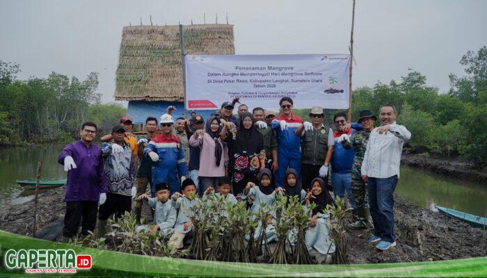 Peringati Hari Mangrove Sedunia, Pertamina EP Pangkalan Susu Tanam 2.500 Bibit Bakau