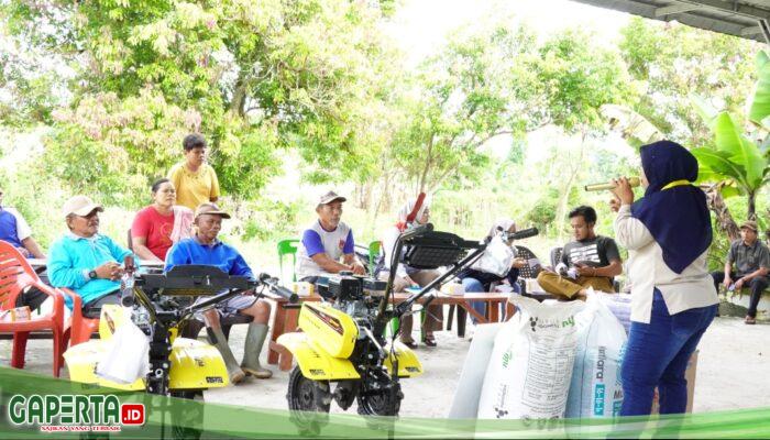 Dari Lahan Hortikultura Bengkalis, Semangat Petani Menjaga Ketahanan Pangan Terus Tumbuh