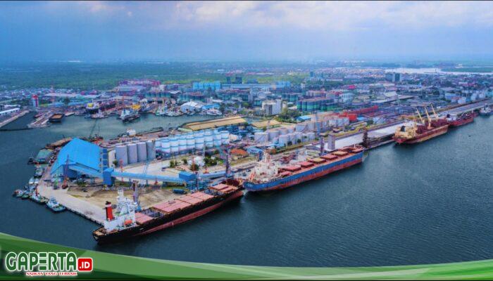 Pelindo Multi Terminal Belawan Catat Peningkatan Pertumbuhan Arus Curah Kering pada Semester I 2026