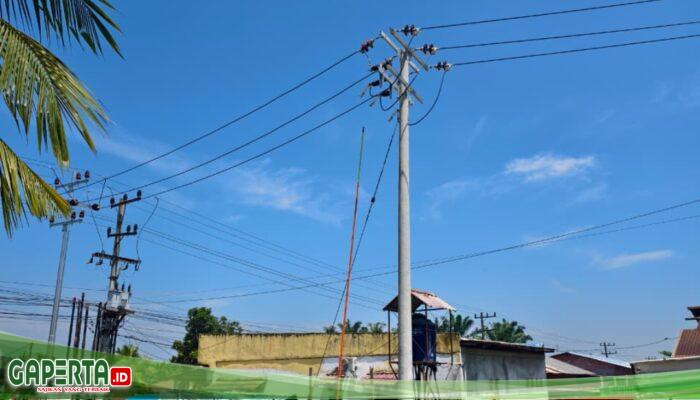 Dukung Pertumbuhan Industri Kelapa Sawit, PLN Sambung Listrik 555 kVA ke Mustika Agung Sawit Sejahtera