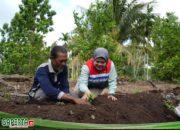 Pokmas Alam Tani Binaan PPN Kilang Dumai Tanam 1.000 Bibit Kopi Robusta