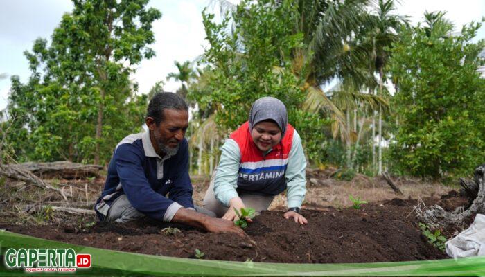 Pokmas Alam Tani Binaan PPN Kilang Dumai Tanam 1.000 Bibit Kopi Robusta