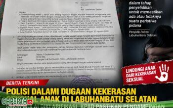 Kasus Dugaan Kekerasan Seksual terhadap Anak di Labusel Masih Diselidiki, KPAD Pastikan Pendampingan Korban
