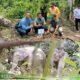 PHE NSO Kembalikan Jalan Pulang Gajah Melalui Restorasi Lahan Kritis di Aceh Utara
