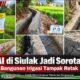 P3-TGAI di Siulak Kerinci Jadi Sorotan, Sejumlah Bagian Irigasi Tampak Retak