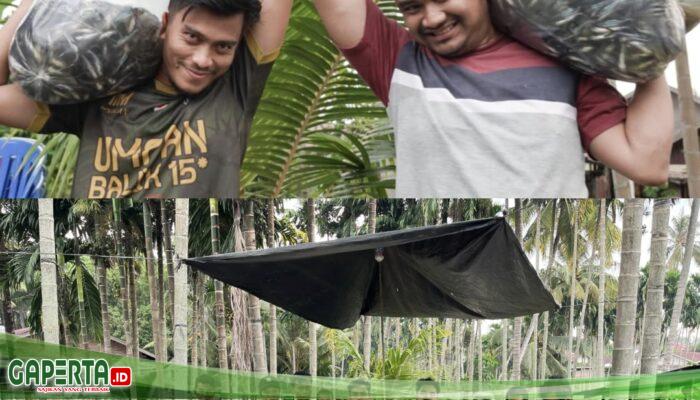 Kisah Feri Hamdan Bangkitkan Semangat Kelompok Tunas Mandiri dalam Budidaya Ikan Patin