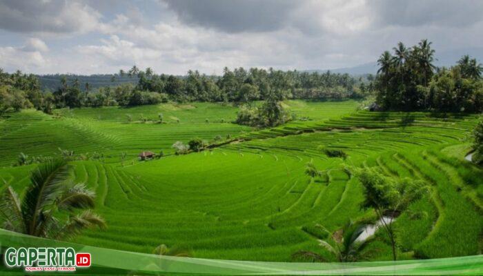 Lampaui Target 2026, LP2B Nasional Tembus 87,63 Persen