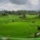 Lampaui Target 2026, LP2B Nasional Tembus 87,63 Persen