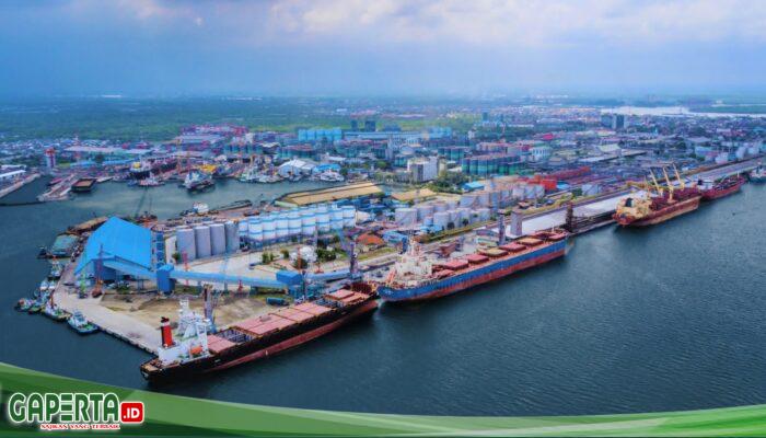 Kinerja Pelindo Multi Terminal (PMT) Agustus 2026 meningkat Tumbuh 22% Dibandingkan Tahun Sebelumnya