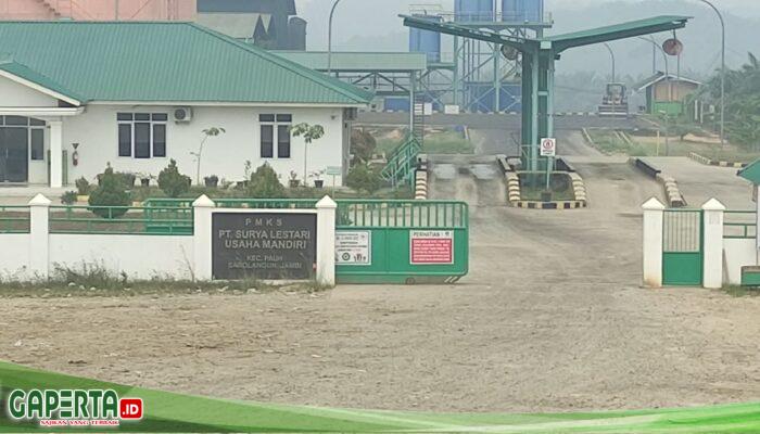 Karang Taruna Sarolangun Soroti PT SLUM, Desak Evaluasi K3 hingga Pengelolaan Lingkungan