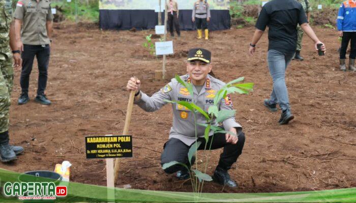 TNI-Polri Bersama Buruh Tanam 20 Ribu Pohon di Siak, Kabaharkam Tekankan Polisi Bersama Masyarakat